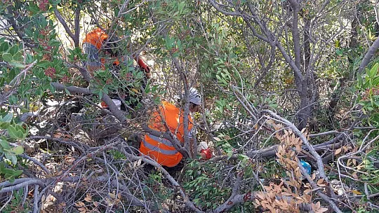Kayaköy'de Çevre Temizliği Yaptılar
