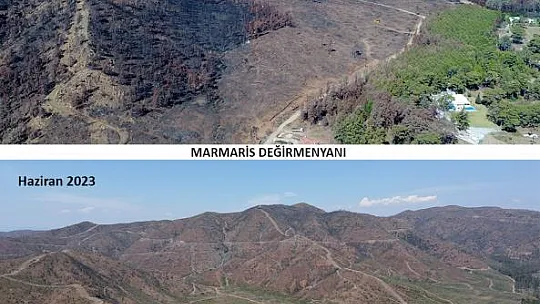 Yanan Alanlar Küllerinden Doğuyor