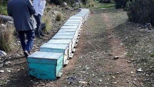 2019 Yılı Arılı Kovan Destekleme Başvuruları Başladı