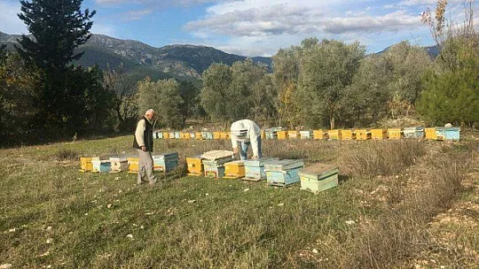 2019 Yılı Arılı Kovan Destekleme Başvuruları Başladı