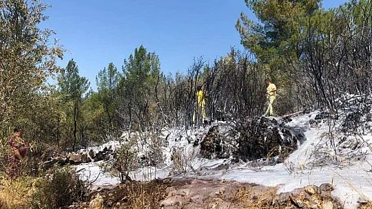 Yeşilüzümlü'deki yangın kontrol altına alındı