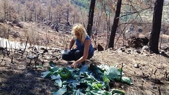 Hayvan Kurtarma Ekibi Lideri FRT TV Mikrofonuna Konuştu