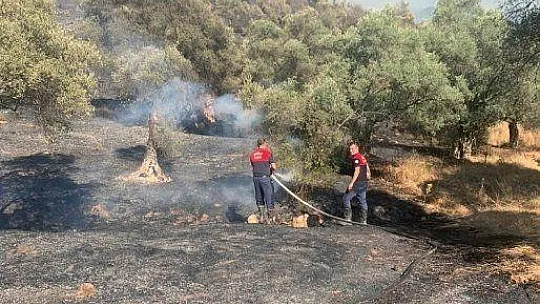 8 helikopter 1 uçak yangına müdahale ediyor