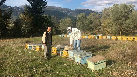 2019 Yılı Arılı Kovan Destekleme Başvuruları Başladı