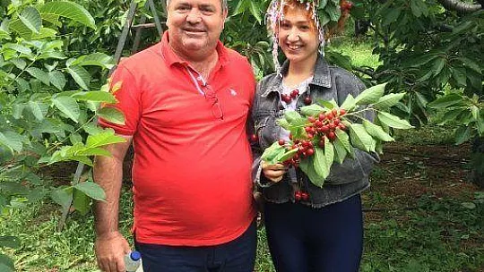 Hayırseverin kirazını toplayıp ihtiyaç sahiplerine dağıttılar 