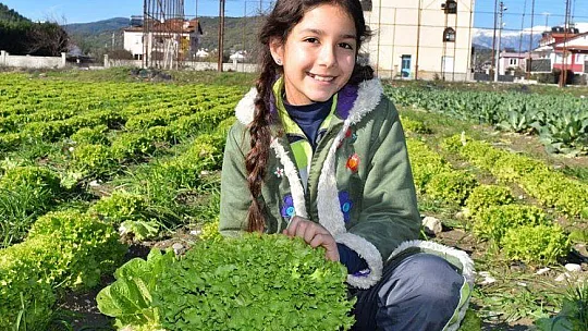 Öğrencilerde Hasat Sevinci