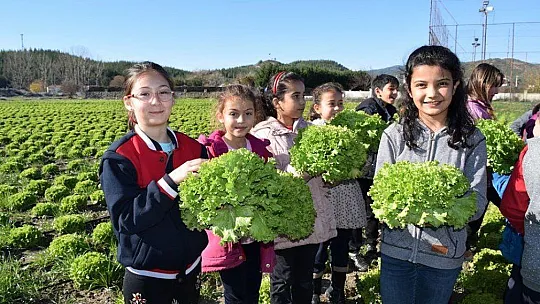 Öğrencilerde Hasat Sevinci