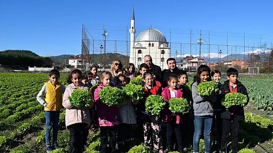 Öğrencilerde Hasat Sevinci