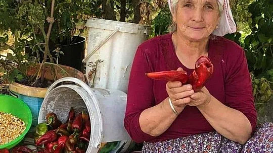 KADIN ÇİFTÇİLERİMİZ ARTIK DİJİTAL TARIM PAZARINDA