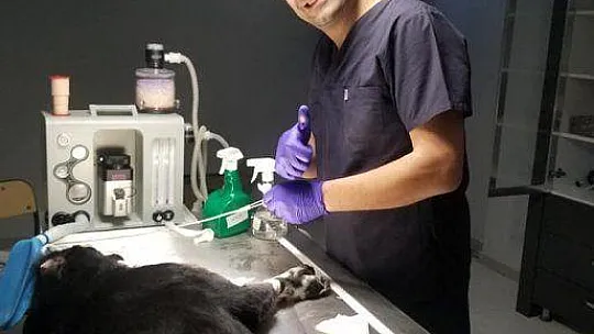 Ege Ve Akdeniz Bölgelerinde İlk Ve Tek