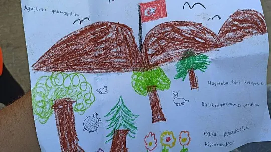 Köyceğiz Yangınına Modifiye Kulüplerinden Yardım Eli