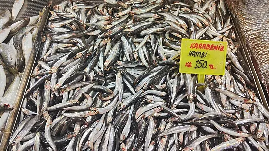 Zamlardan hamsi de nasibini aldı