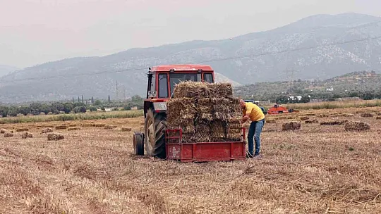90 kadın üreticiye 2 bin saman balyası dağıtıldı