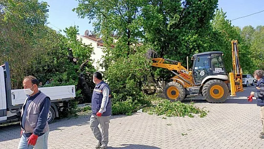 Fırtına Yıktı Geçti