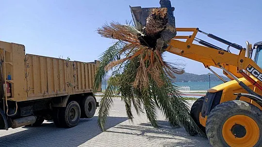 Fırtına Yıktı Geçti