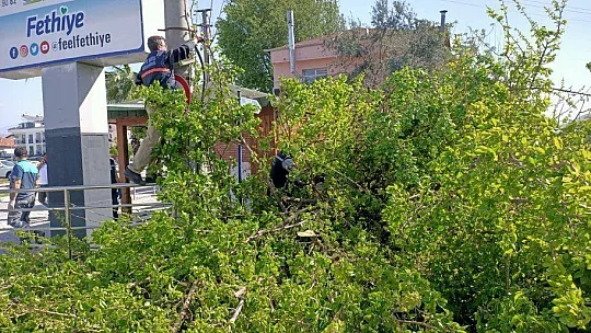 Fırtına Yıktı Geçti