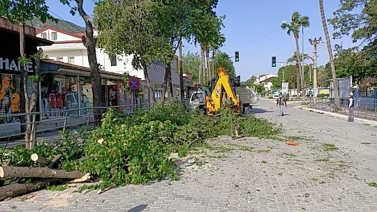 Fırtına Yıktı Geçti