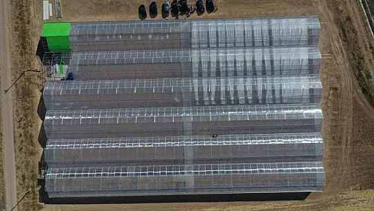 Fethiye'nin ihracat rekortmeni Sistem Sera!
