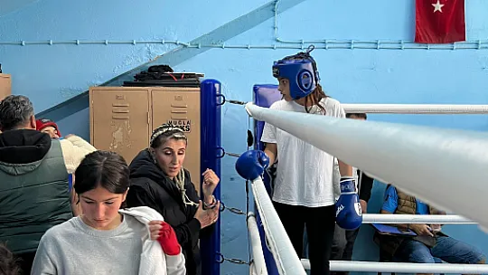 Arslan Fight Arena'da Çalışmalar Devam Ediyor