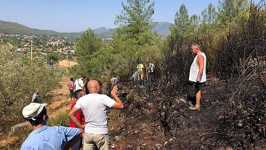 Yeşilüzümlü'deki yangın kontrol altına alındı