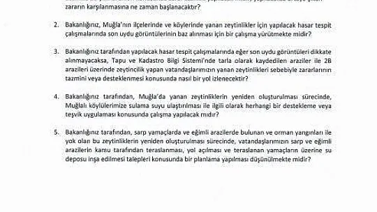 Milletvekili Metin Ergun'dan bir soru önergesi de zeytinciler için