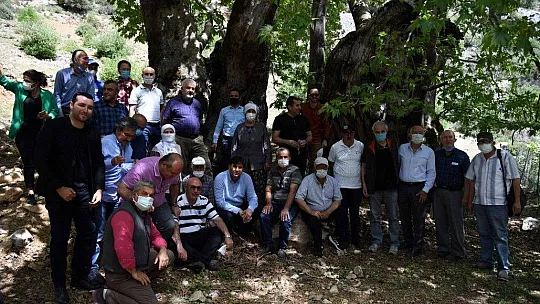 Fethiye Belediyesi'nin 'Bizim Bahçe' projesi başladı