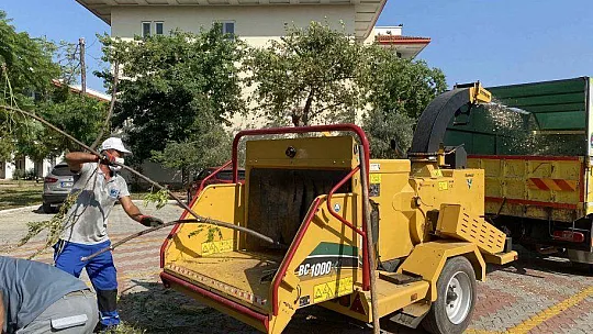 Fethiye Belediyesi'nden Ağaç Yongalama Hizmeti