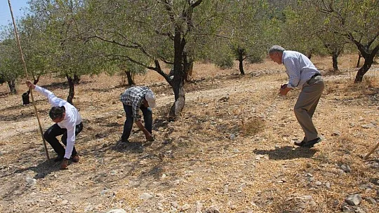 AK Partili Hıdır, Datça'da incelemelerde bulundu
