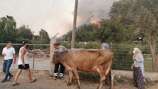 Alevlere teslim olan Marmaris'te göz yaşartan görüntüler