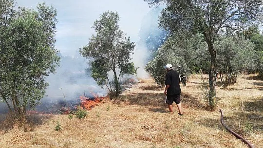 Alevlerin arasından çıkardılar, kurtarmak için seferber oldular