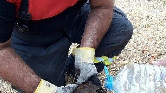 Alevlerin arasından çıkardılar, kurtarmak için seferber oldular