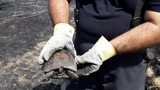 Alevlerin arasından çıkardılar, kurtarmak için seferber oldular