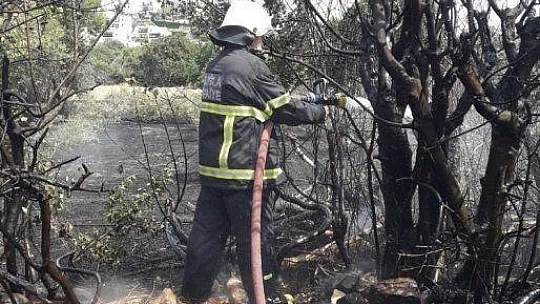 Alevlerin arasından çıkardılar, kurtarmak için seferber oldular