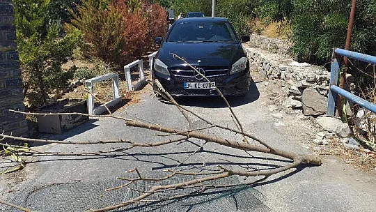 Aliye teyze, yolu yine kapattı