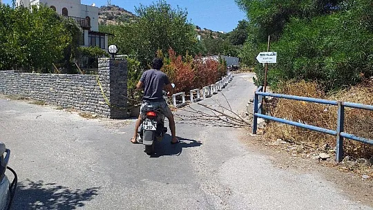 Aliye teyze, yolu yine kapattı