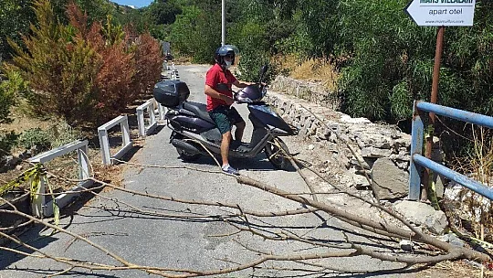 Aliye teyze, yolu yine kapattı