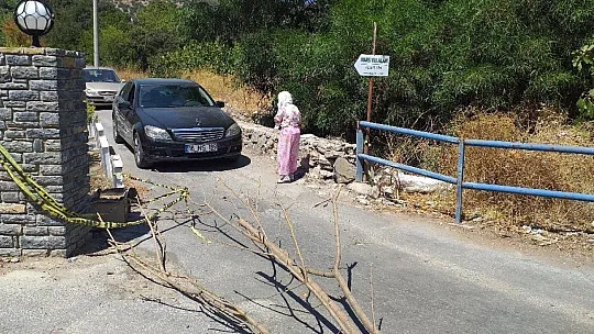 Aliye teyze, yolu yine kapattı