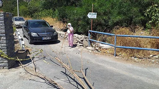 Aliye teyze, yolu yine kapattı