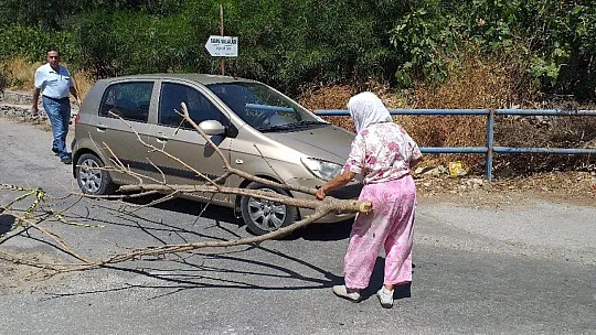 Aliye teyze, yolu yine kapattı