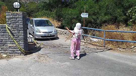 Aliye teyze, yolu yine kapattı