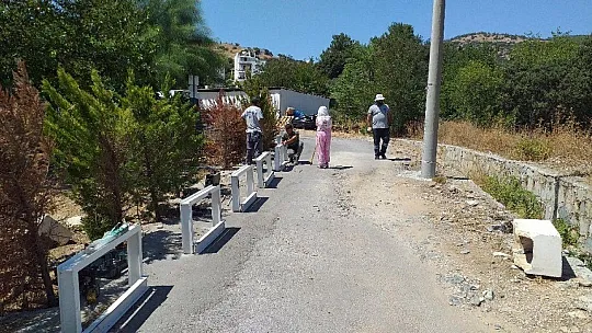 Aliye teyze, yolu yine kapattı