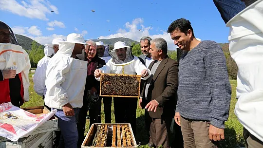Arıcılıkta hedef yükseltti