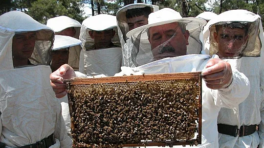Muğla'da Apiterapi Ürünleri İşleme Merkezi projesi