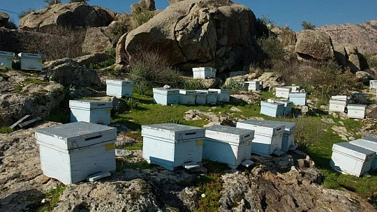 Muğla'da Apiterapi Ürünleri İşleme Merkezi projesi
