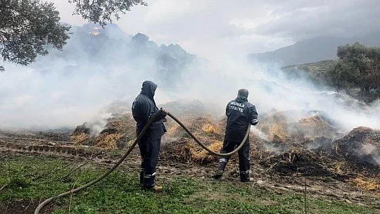 Arazide samanlar alev alev yandı