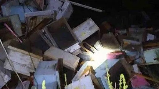 Arı kovanı taşıyan kamyonet devrildi: 2 yaralı