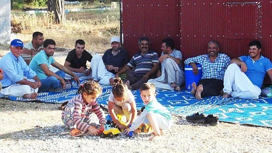 Arılarla ormanlarda geçen yaşamlar
