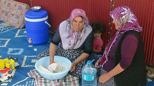 Arılarla ormanlarda geçen yaşamlar