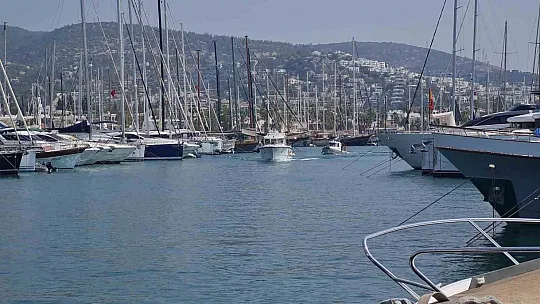 Arının soktuğu iş adamı hayatını kaybetti