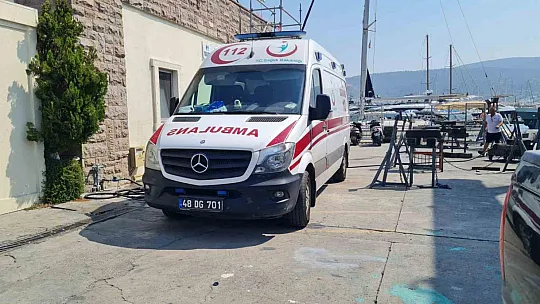 Arının soktuğu iş adamı hayatını kaybetti